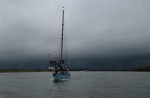 Windbreker volgt